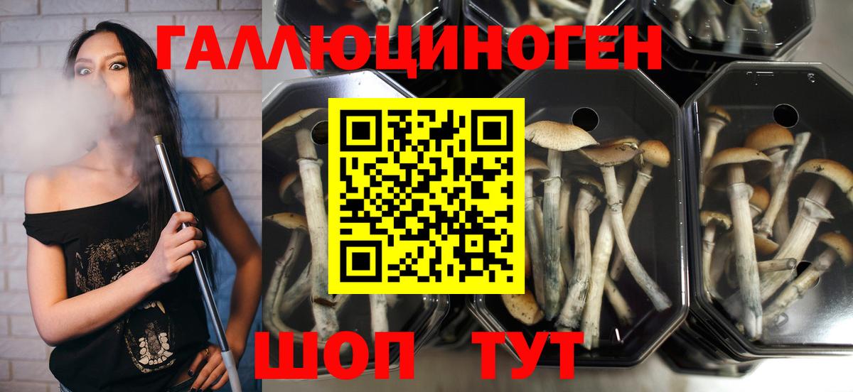 Псилоцибиновые грибы MAGIC MUSHROOMS  Вход с VPN  Лабинск 